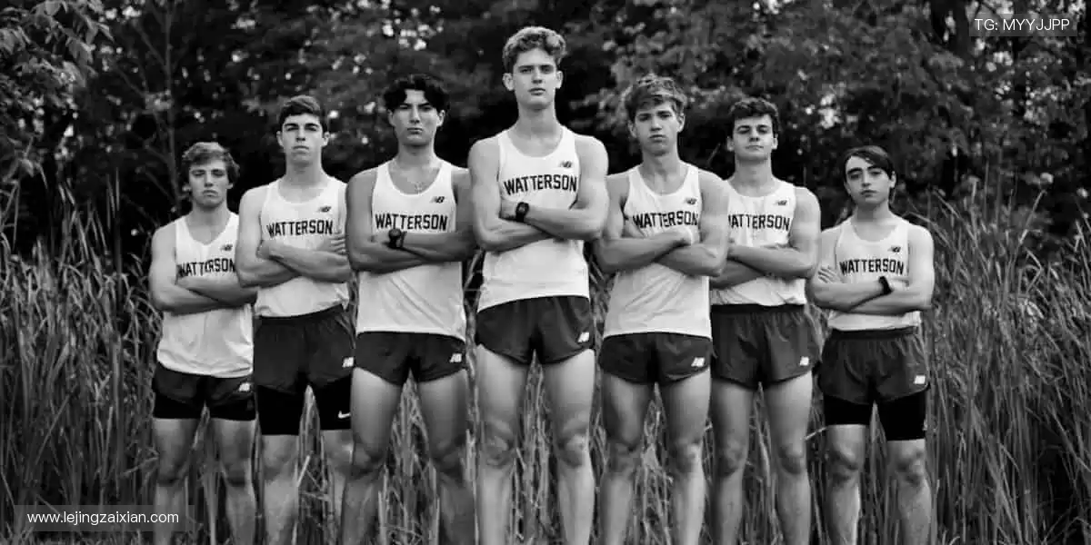 「万人呐喊,千场对决 —— 顶级赛事尽在指尖掌控!⚽立即购票,抢占黄金席位!」